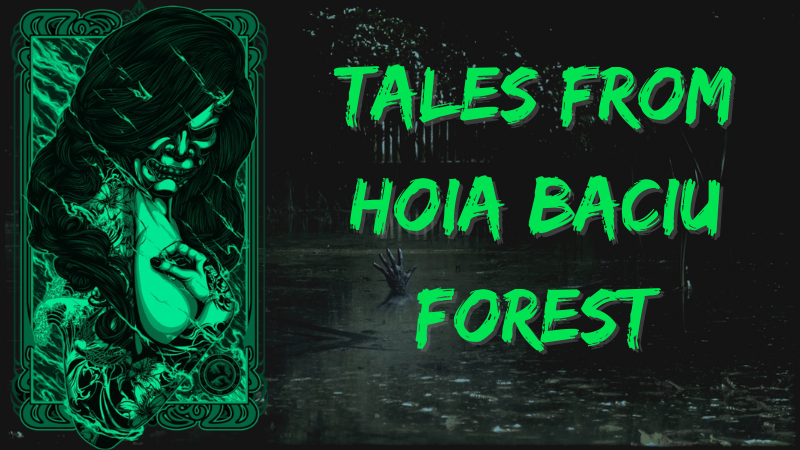 TALES FROM HOIA BACIU FOREST (1)